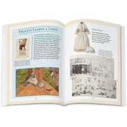 Felicity Merriman™ 18-inch Doll, Book & Accessories (Historical Characters) X6