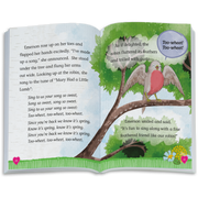 The Riddle of the Robin Book (WellieWishers™) Z8