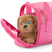 Packed with Fun Luggage Set for 18-inch Dolls E2