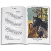 Smoke in the Wind: Kaya Book 2  (Historical Characters) J9