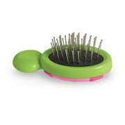 Little Ladybug Brush B5