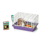 Courtney's™ Guinea Pig (Historical Characters) G4