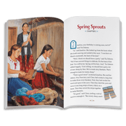 Second Chances: Josefina Book 2 (Historical Characters) R8
