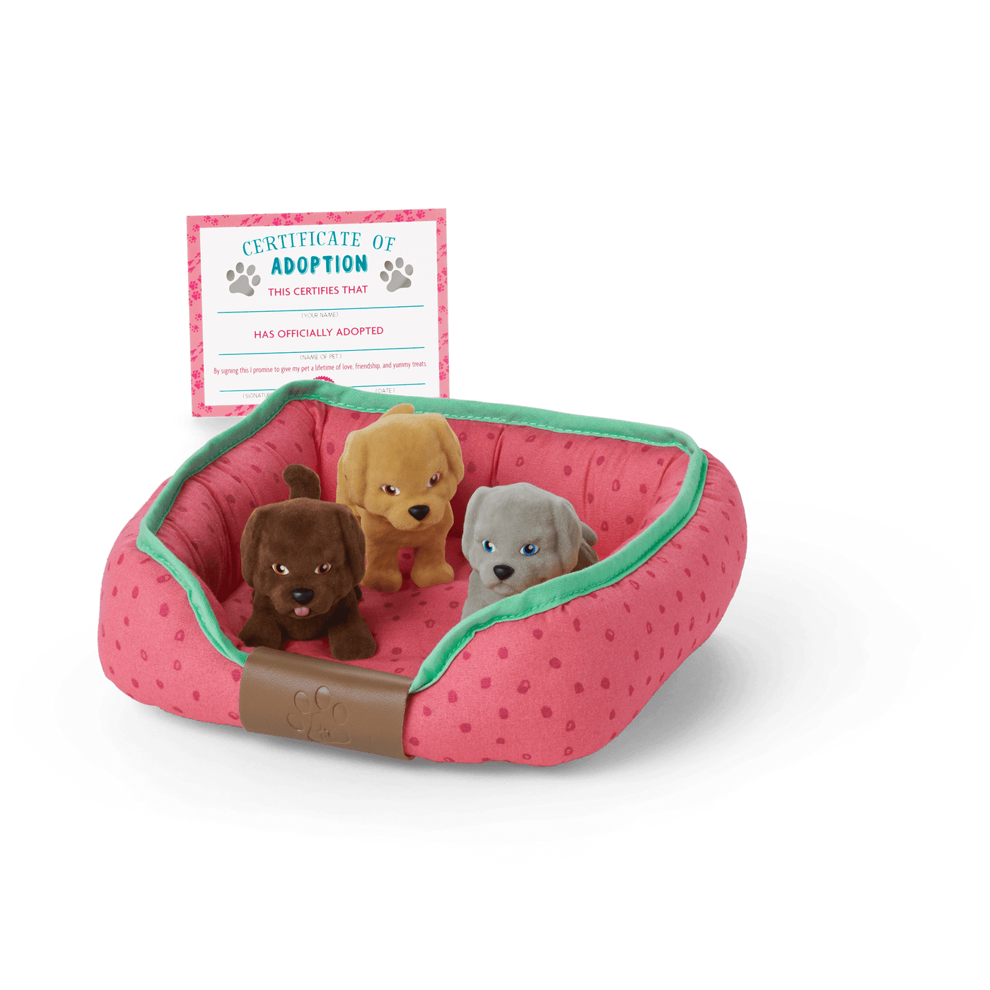 All the Puppies Set Q8