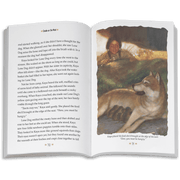 Smoke in the Wind: Kaya Book 2  (Historical Characters) J9